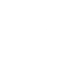 Made for Transformation